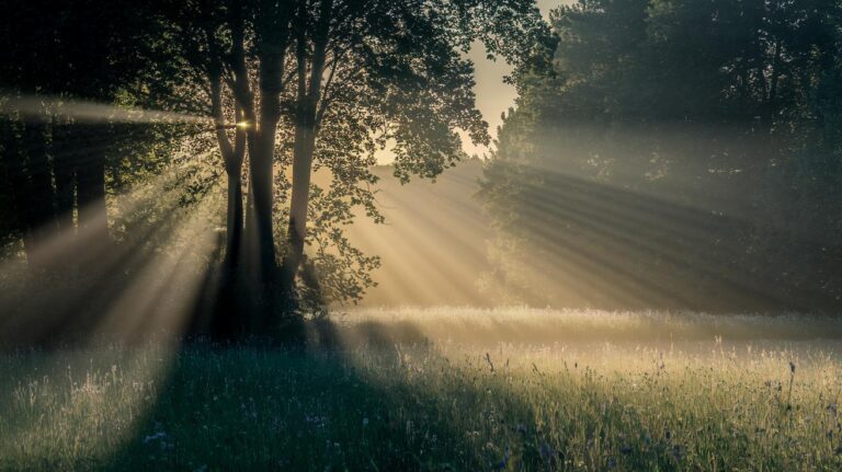 Divine Inspiration And Prayers Good Morning Radiating Hope